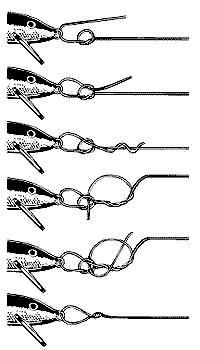 Узел Rapala (Рапала)